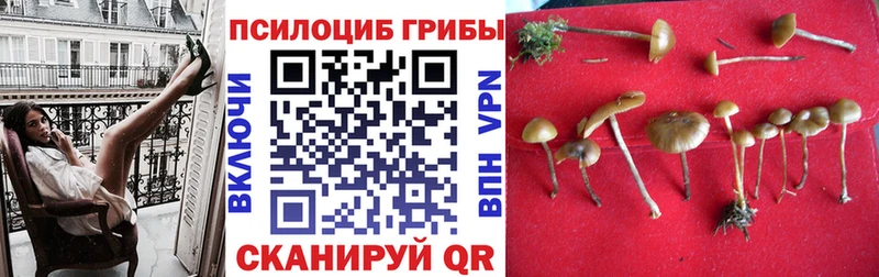 Галлюциногенные грибы GOLDEN TEACHER  OMG ONION  Кизилюрт 