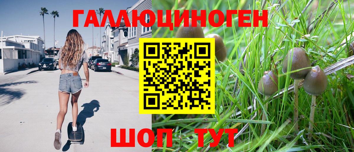 Псилоцибиновые грибы прущие грибы  Галлюциногенные грибы Psilocybe  Кизилюрт  Вход с VPN 